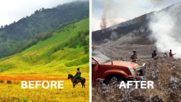 Destinasi Wisata yang Terbakar Kembali Bertambah. Terbaru, Bukit Teletubbies di Bromo Juga Gosong!