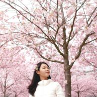 Memahami konsep ‘Ikigai’ Ala Orang Jepang, Biar Lebih Semangat Bangun Tiap Pagi dan Menjalani Hari