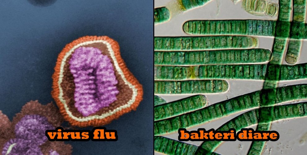 Sekilas Mirip Lukisan, 12 Gambar Ini Adalah Penampakan Virus dan Bakteri yang Diperbesar
