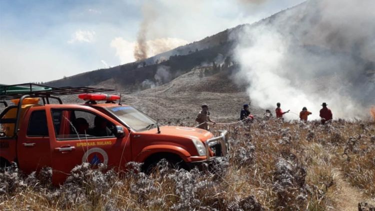 Destinasi Wisata yang Terbakar Kembali Bertambah. Terbaru, Bukit Teletubbies di Bromo Juga Gosong!