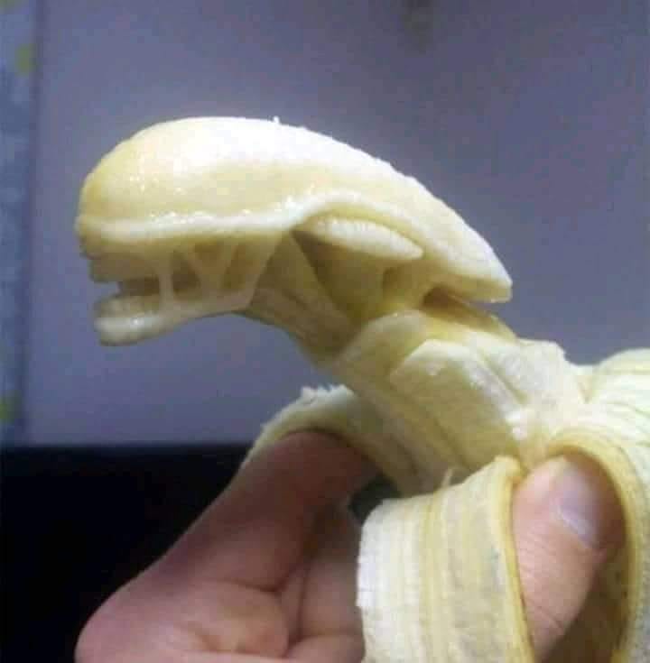 Nggak Bikin Menggairahkan, 15 Foto Makanan ini Malah Bikin Ngakak. Mau Makan Aja Lawak!