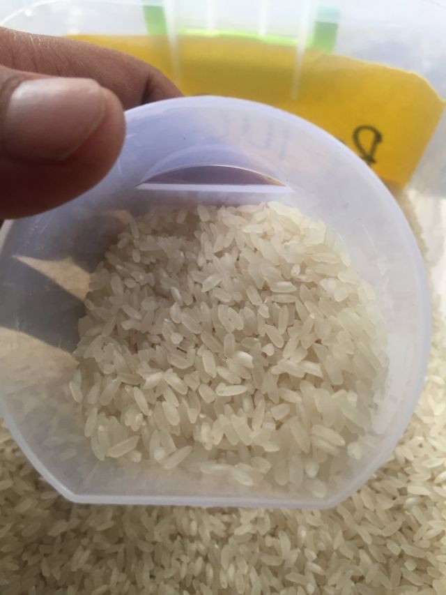 jenis beras ir42