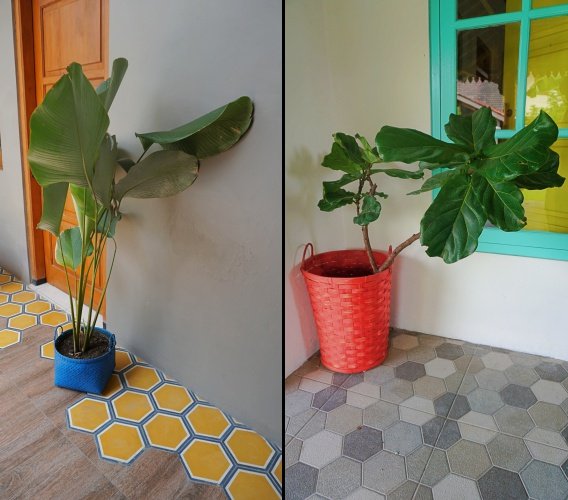 Aneka Perabot Unik untuk Hiasan Rumah Ala Shabby Chic, Bikin Pengen Foto-Foto Terus!