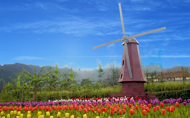  Wisata di Purwokerto