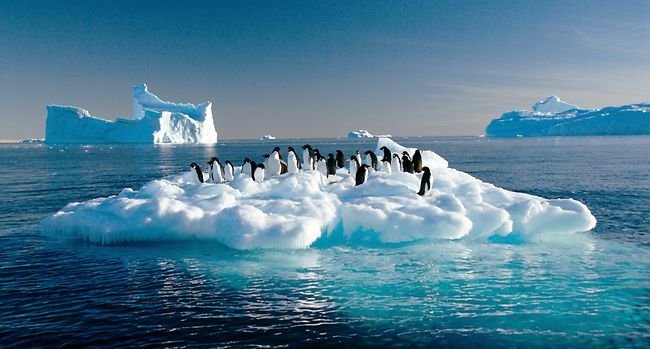 Bukan Sulap Bukan Sihir, Ini 5 Fakta Soal Gunung Es Berbentuk Segiempat Sempurna. Langka! 9 Bukan Sulap Bukan Sihir, Ini 5 Fakta Soal Gunung Es Berbentuk Segiempat Sempurna. Langka!