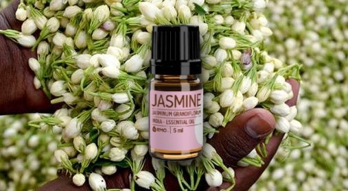 5 Alasan Kenapa Parfum Asli Harganya Bisa Selangit. Benar-benar Nggak Bisa Dibandingin Sama yang KW