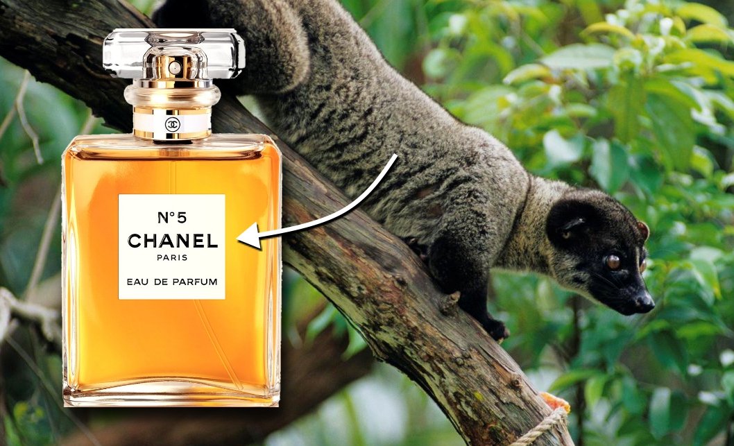 5 Alasan Kenapa Parfum Asli Harganya Bisa Selangit. Benar-benar Nggak Bisa Dibandingin Sama yang KW