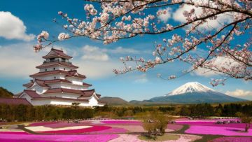 Panduan Praktis Bikin Visa ke Jepang. Biar Liburan ke Negeri Sakura Tak Sekedar Angan Belaka!