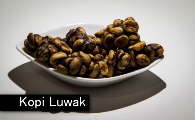 10 Makanan Paling Menjijikkan Sedunia di 'Digusting Food Museum'. Durian dan Kopi Luwak Termasuk Lho