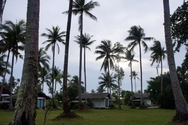 Sensasi Menginap Ala Crazy Rich di Resort Bintang 5 Pulau Bintan. Fix Mau Balik ke Sana Lagi!