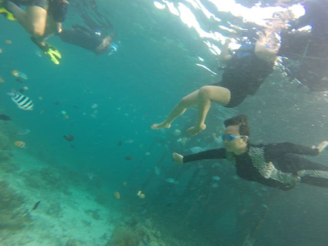Berenang bersama ikan yang cantik