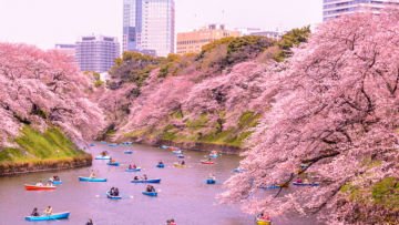 Kapan Waktu Terbaik untuk Berkunjung ke Jepang? Kamu yang Mau Liburan ke Sana Harus Tahu!