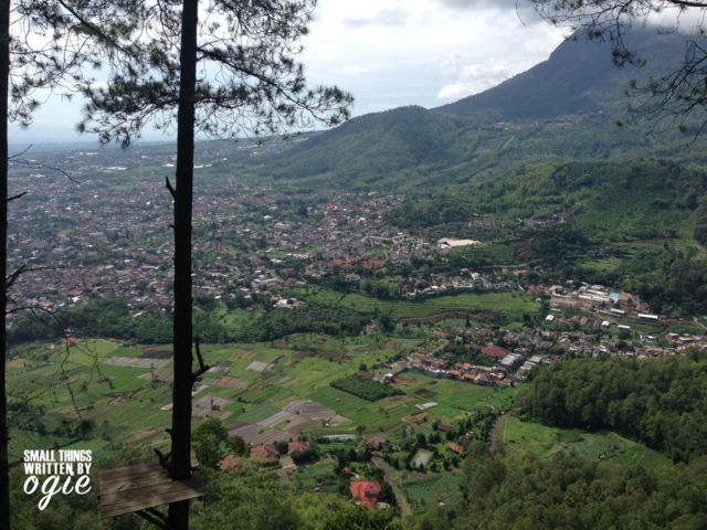 Wisata Seru Omah Kayu