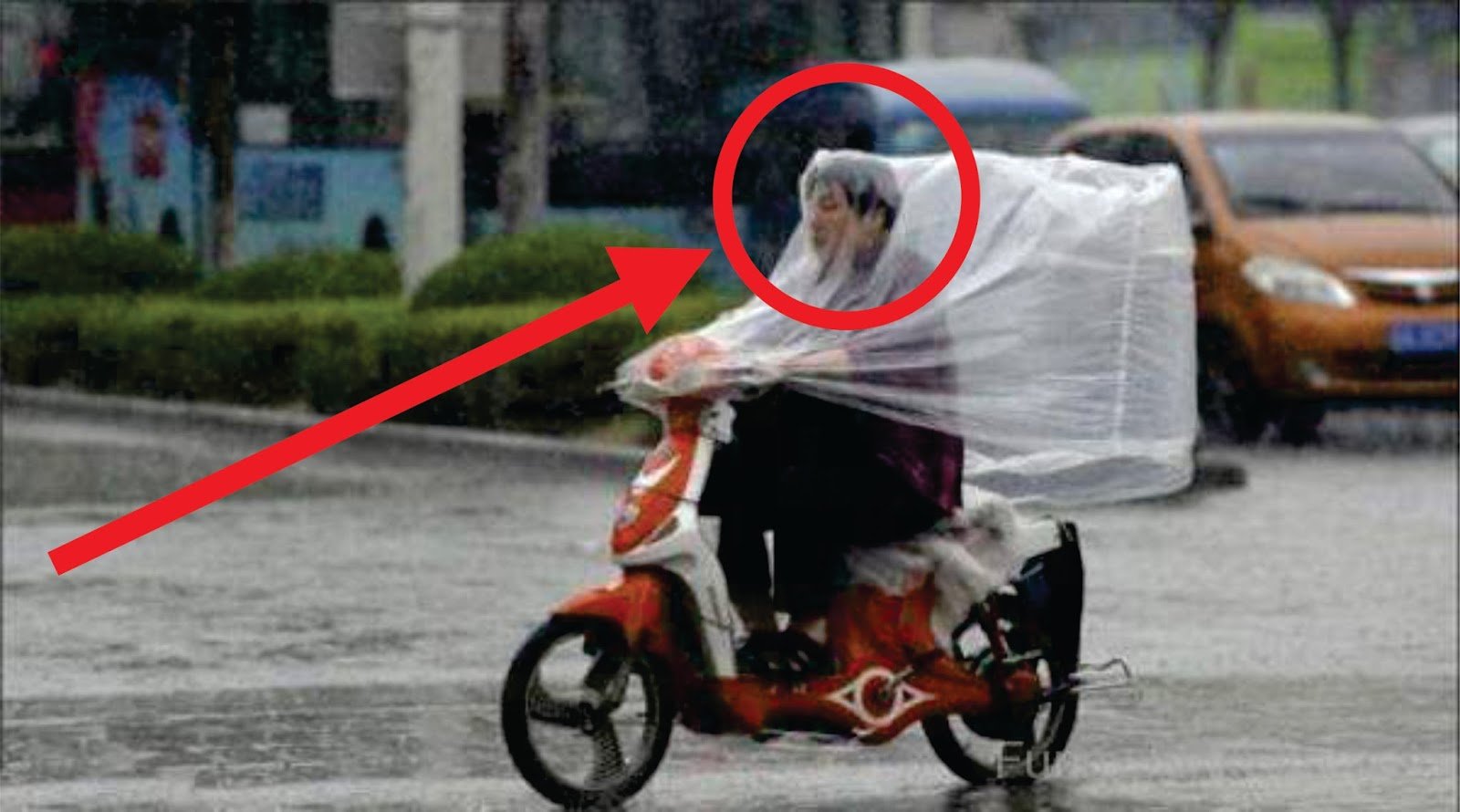 Kena Hujan di Tengah Jalan? Tenang, 10 Cara Berlindung ini Dijamin Bisa Bikin Kamu Semangat Lagi!