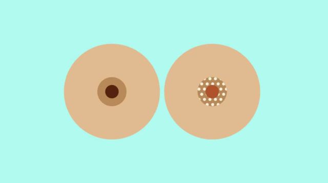 12 Gambaran Unik Semi Bikin Geli yang Terjadi Selama Kehamilan. Jangan Panik, Ini Normal!