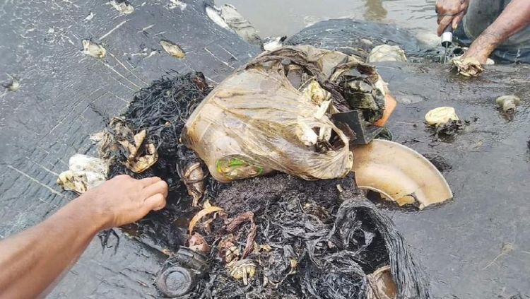Paus Ditemukan Mati dengan Ratusan Plastik dan Sandal Jepit di Perutnya. Asli, Bikin Nggak Tega!