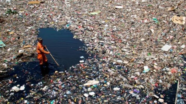 Paus Ditemukan Mati dengan Ratusan Plastik dan Sandal Jepit di Perutnya. Asli, Bikin Nggak Tega!
