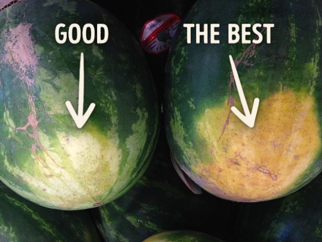 cara memilih semangka yang manis