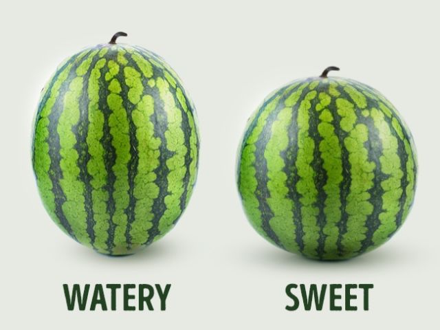 cara memilih semangka yang manis