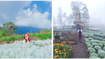 Taman Edelweiss, Destinasi Wisata Hits dan Instagramable di Bali. Cocok untuk Liburan Akhir Tahun!