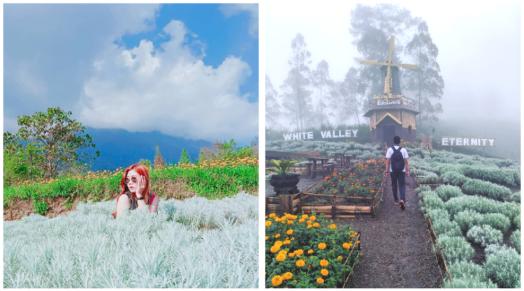 Taman Jinja, Wisata Bernuansa Jepang di Bali. Serasa Liburan ke Negeri Sakura versi Ngirit!