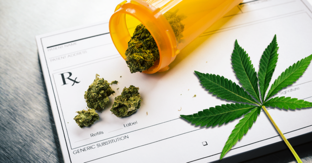 Ganja Mulai Populer Jadi Bahan Baku Kosmetik. Katanya Sih Nggak Bakal Bikin 'Fly'
