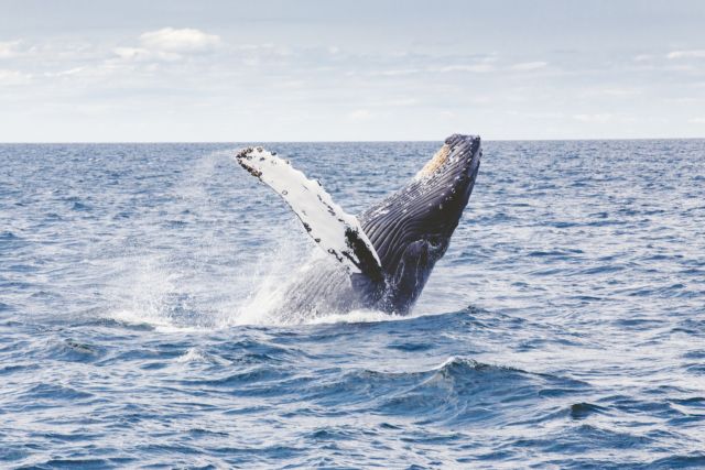 6 Tempat Asik di Australia yang Bisa Kamu Datangi. Cocok Buat yang Pengen Ngerasain Liburan ke Luar Negeri!