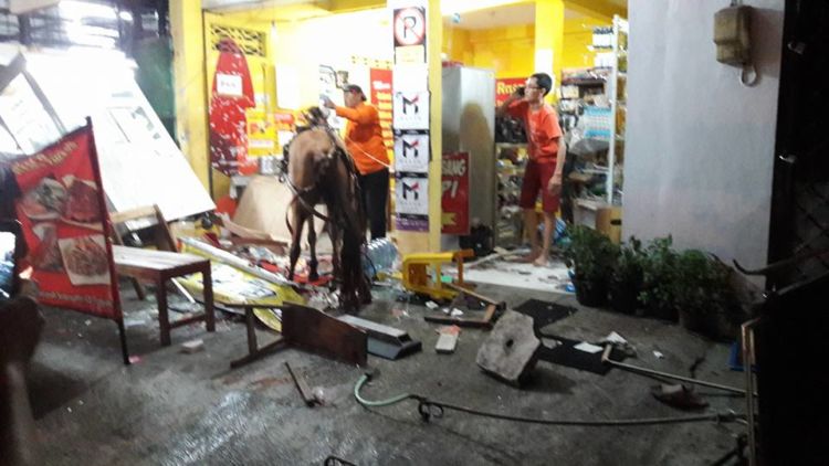 Kuda Andong di Malioboro Tumbang, Katanya Gara-gara Diklakson Waktu Macet. Kasihan Banget Kudanya!
