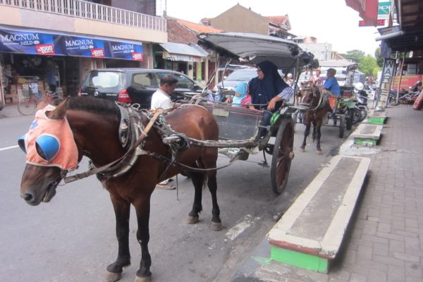 Kuda Andong di Malioboro Tumbang, Katanya Gara-gara Diklakson Waktu Macet. Kasihan Banget Kudanya!