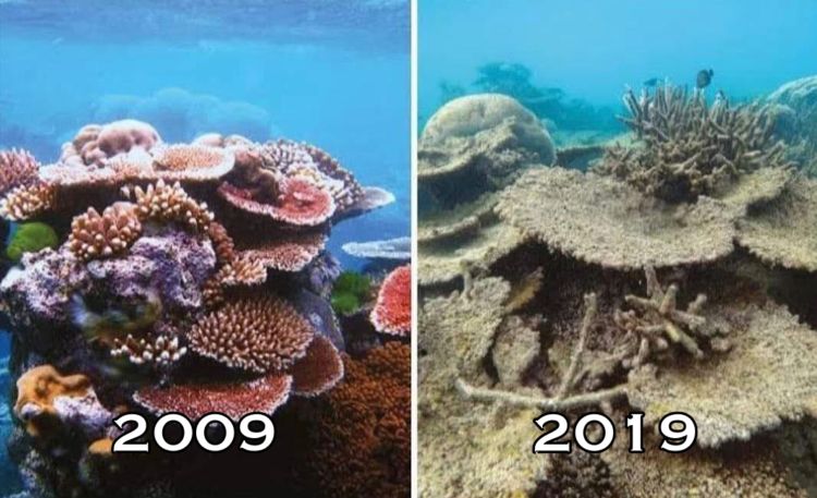 10+ Unggahan #10YearChallenge yang Seharusnya Jadi Perhatian Kita Bersama. Bikin Miris & Prihatin