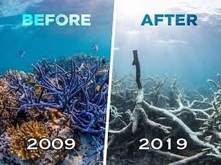 10+ Unggahan #10YearChallenge yang Seharusnya Jadi Perhatian Kita Bersama. Bikin Miris & Prihatin