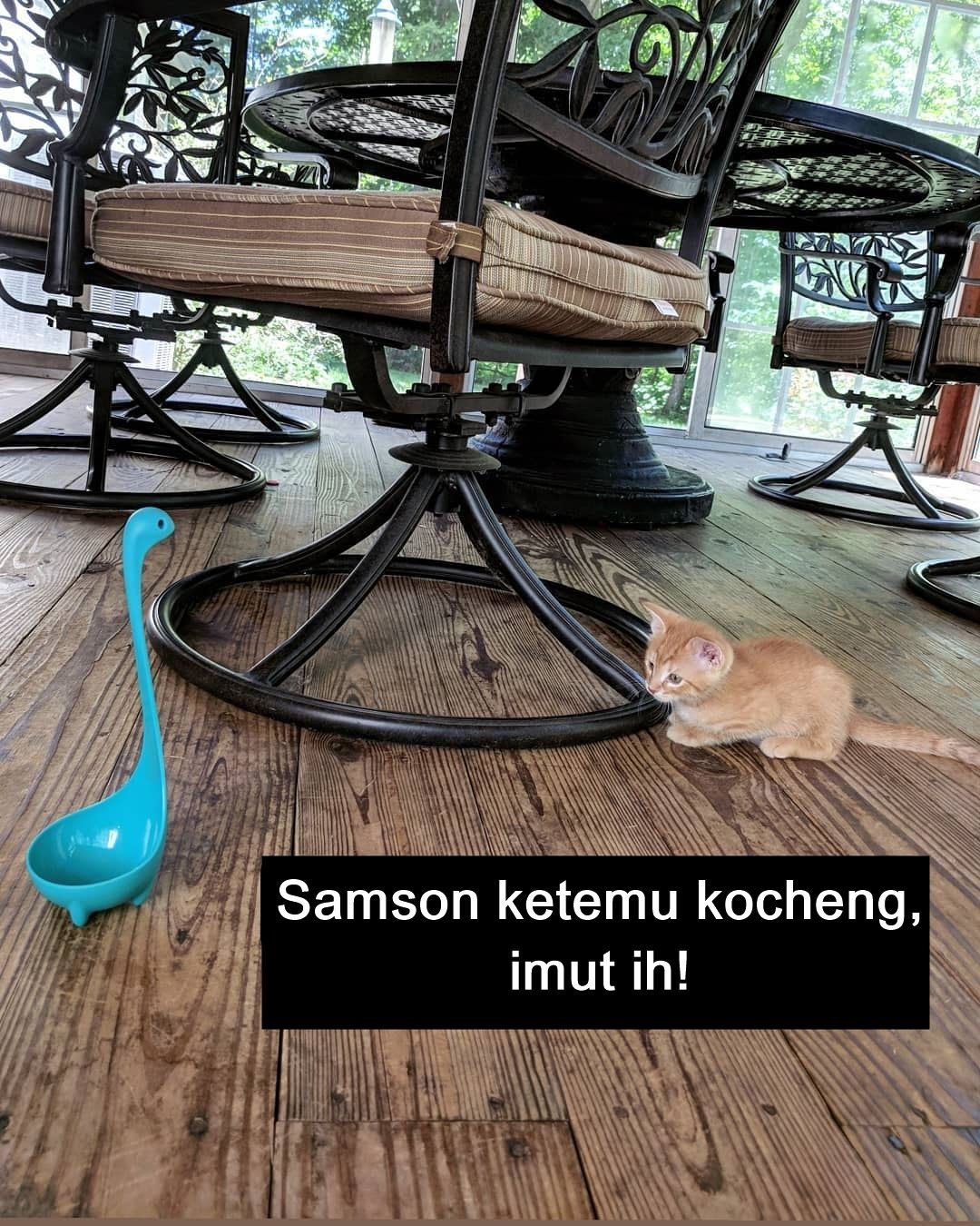 Sekelumit Kisah dari Sebuah Sendok Sup yang Kini Jadi Selebgram. Udah Nerima Endorsement Belum, Ya?