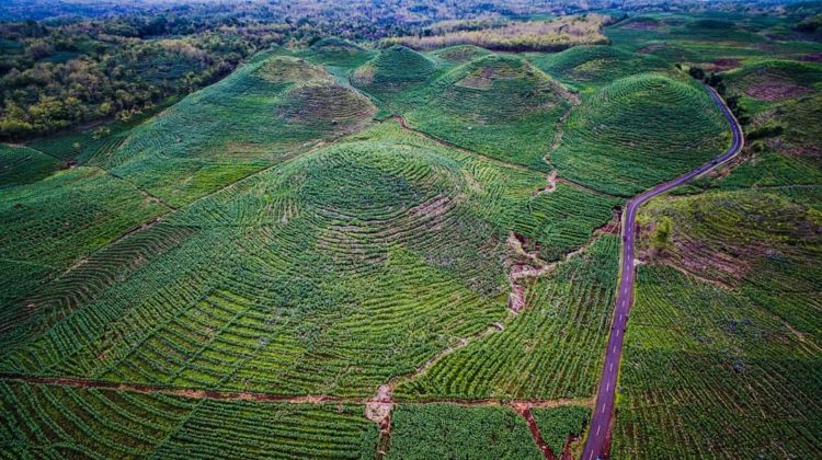 Gunung Bagus, Destinasi Ala Bukit Teletubbies yang Viral di Gunungkidul. Disebut Sebagai Sumbanya Jogja!