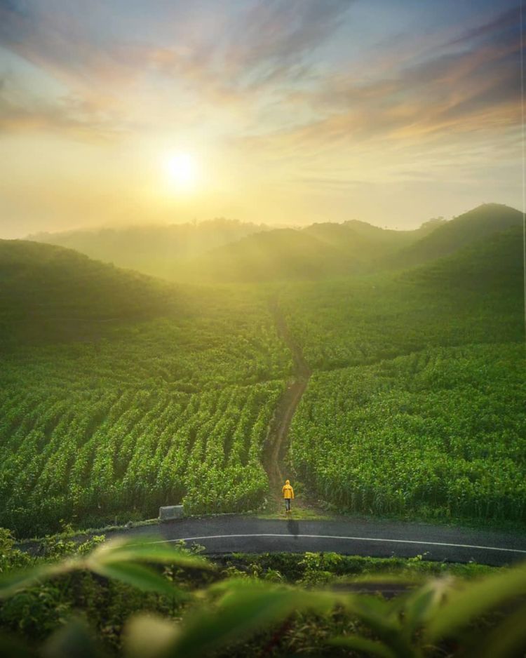 Gunung Bagus, Destinasi Ala Bukit Teletubbies yang Viral di Gunungkidul. Disebut Sebagai Sumbanya Jogja!