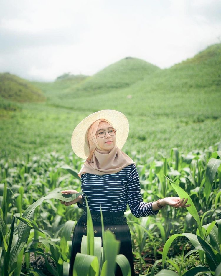 Gunung Bagus, Destinasi Ala Bukit Teletubbies yang Viral di Gunungkidul. Disebut Sebagai Sumbanya Jogja!