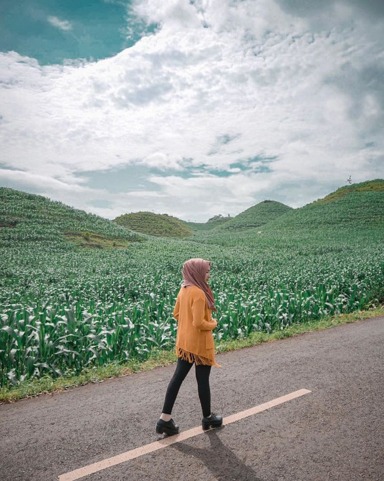 Gunung Bagus, Destinasi Ala Bukit Teletubbies yang Viral di Gunungkidul. Disebut Sebagai Sumbanya Jogja!