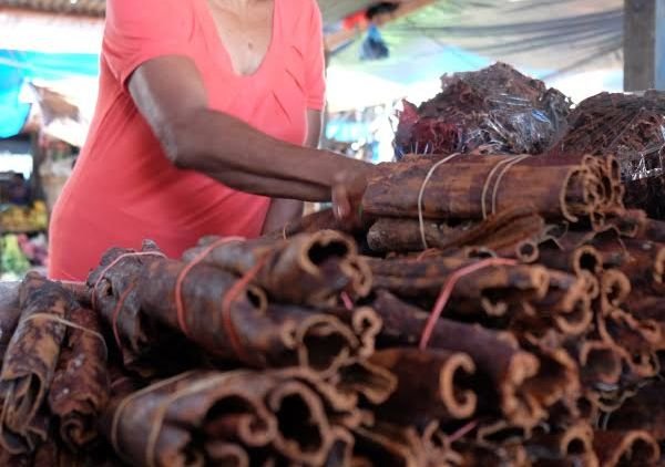 3 tumbuhan Khas Papua yang berkhasiat meningktakan Vitalitas dan Kesuburan
