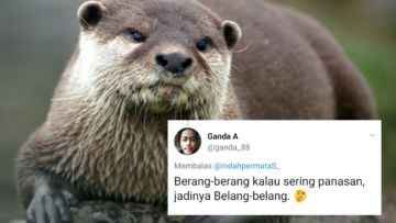 Begini Jadinya Kalau para Binatang ini Dinamai Sesuai dengan Keadaan dan Situasi. Malah Kocak sih!