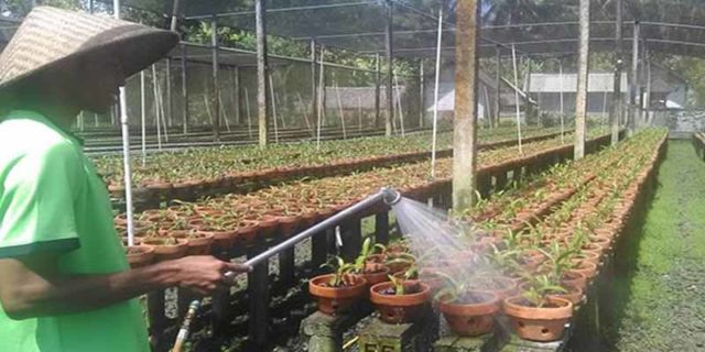 Siram Secara Rutin