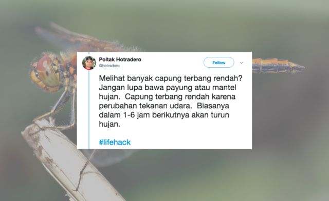 lifehack kehidupan sehari-hari