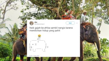 Jangan Liat dari Recehnya, Kisah “Naik Gajah ke Afrika” ini Bukti Warganet Bisa Bersatu Karena Humor~