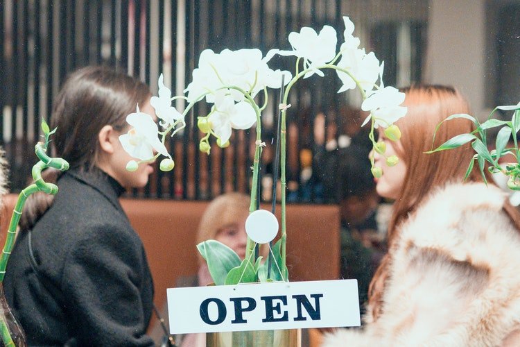 10 Rahasia Merawat Bunga Anggrek. Wajib Kamu Coba!