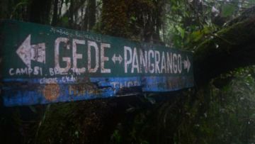Kisah Misteri Pendakian Gunung Gede Pangrango