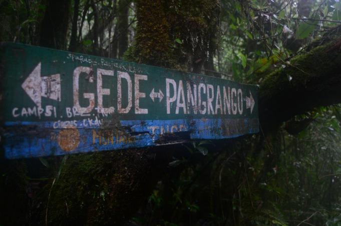 Kisah Misteri Pendakian Gunung Gede Pangrango