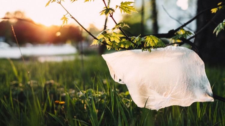 Mother Earth Is Calling! Ini 5 Cara Mudah untuk Ikut Mengurangi Sampah Plastik