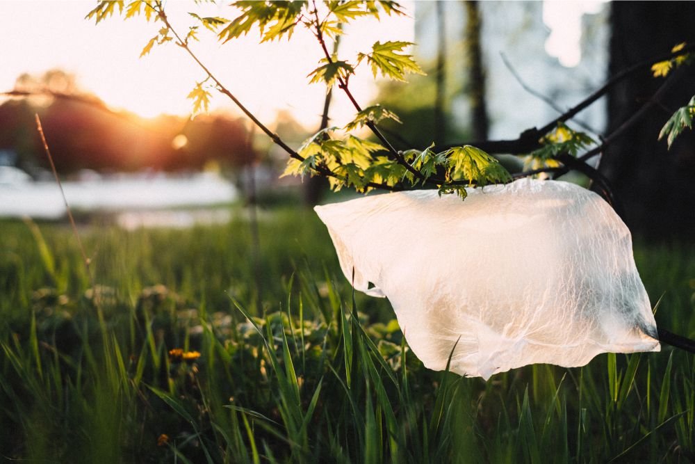 Mother Earth Is Calling! Ini 5 Cara Mudah untuk Ikut Mengurangi Sampah Plastik