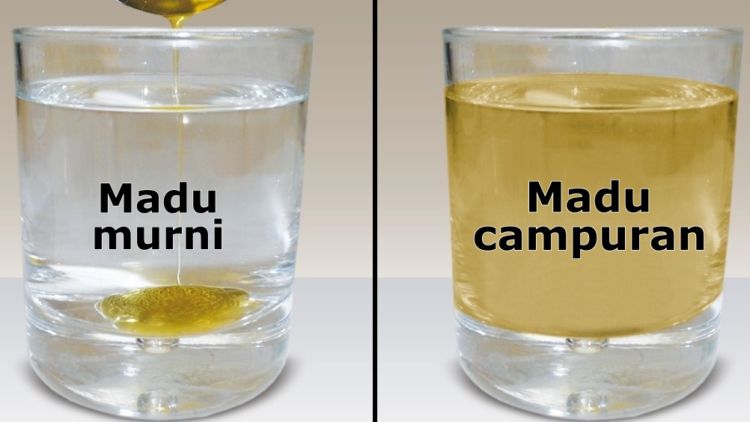 Cara Membedakan Madu Murni dan Madu Campuran dengan Beragam Uji Coba