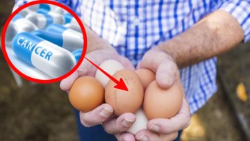 Telur Ayam yang Mengandung Obat AntiKanker, Ini 3 Hal yang Harus Kamu Tahu Soal Penemuan Gila Ini