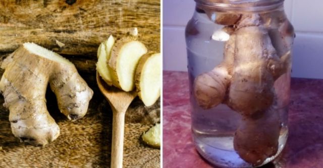 9 Cara Mengawetkan Makanan untuk Cegah Pembusukan Sebelum Masuk Kulkas