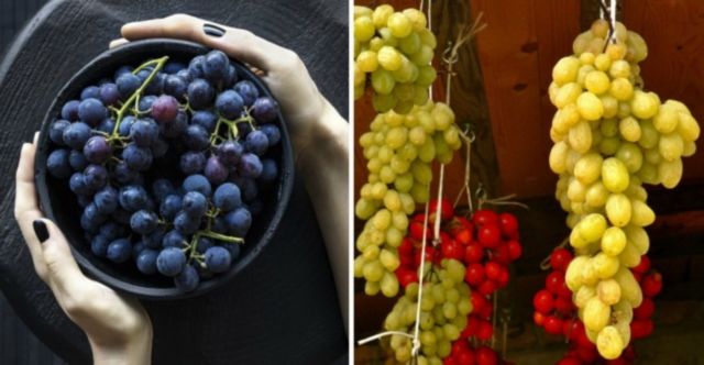 9 Cara Mengawetkan Makanan untuk Cegah Pembusukan Sebelum Masuk Kulkas